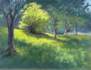 DeLuise, Lisa: Sunlit Bush in Summer