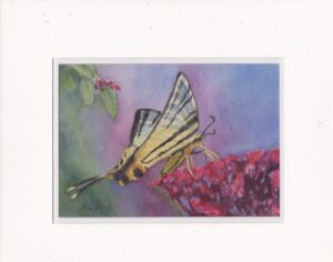 Bouffard, Vikki: Swallowtail