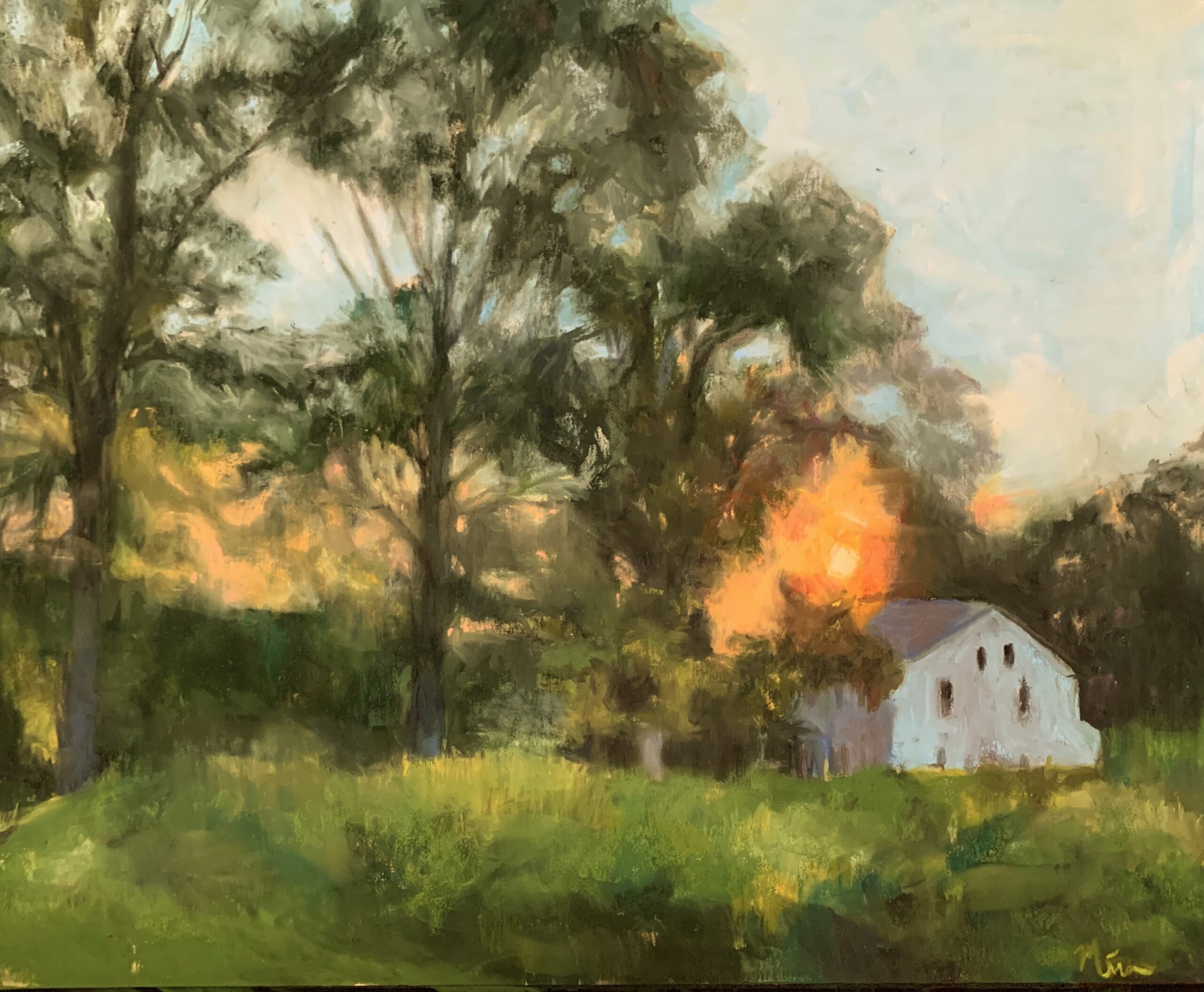 Vitarello, Mira: Ward Preserve