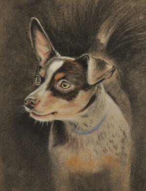 Waterbury-Kwashnak, ShawnaLee: Wiggly Wags