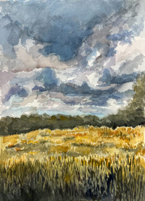 Harrington-Nichols, Jill: Fields and Clouds