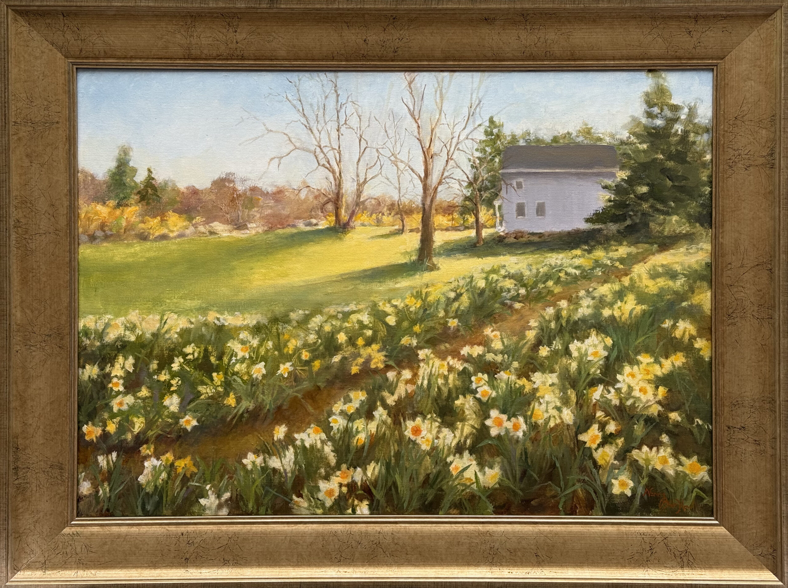 Howell, Nancy Bauer: Field of Joy