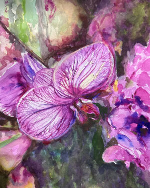 Harrington-Nichols, Jill: Orchid